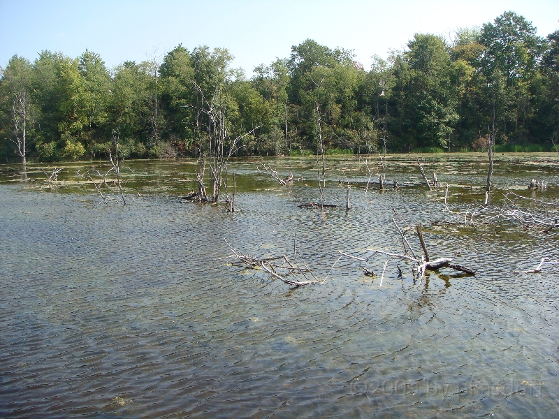 Western Michigan [2009] 380.JPG - Scenes from Frederik Meijer Gardens & Sculpture Park.